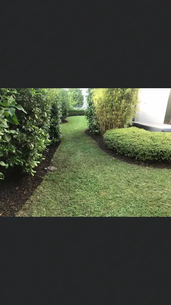 Sauber geschnittene Hecke und gepflegte Rasenkante